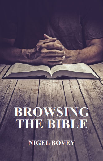 Book cover for Browsing the Bible